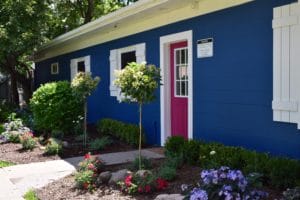 Watch MARL on Pet Nation Renovation