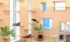 Cage Free Cat Room