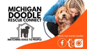 Michigan Doodle Rescue Connect