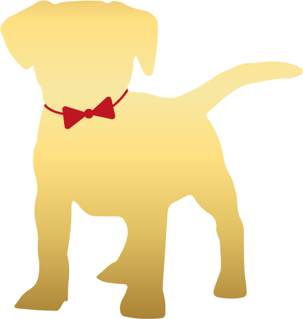 Gold dog with bow tie